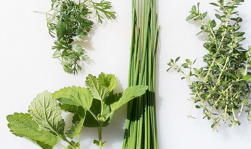 Can Cbd Reduce Inflammation in the Body?