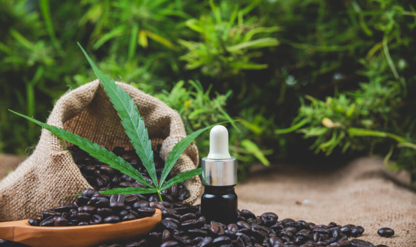 Can Cbd Replace Weed?