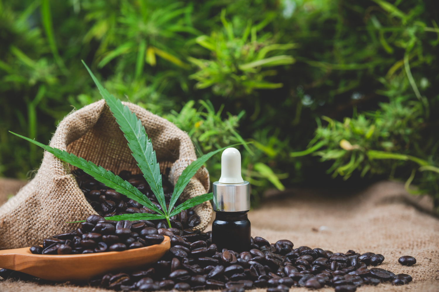 Can Cbd Replace Weed?